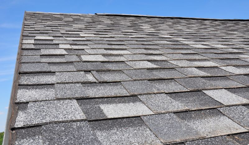 Summer Roofing Activity